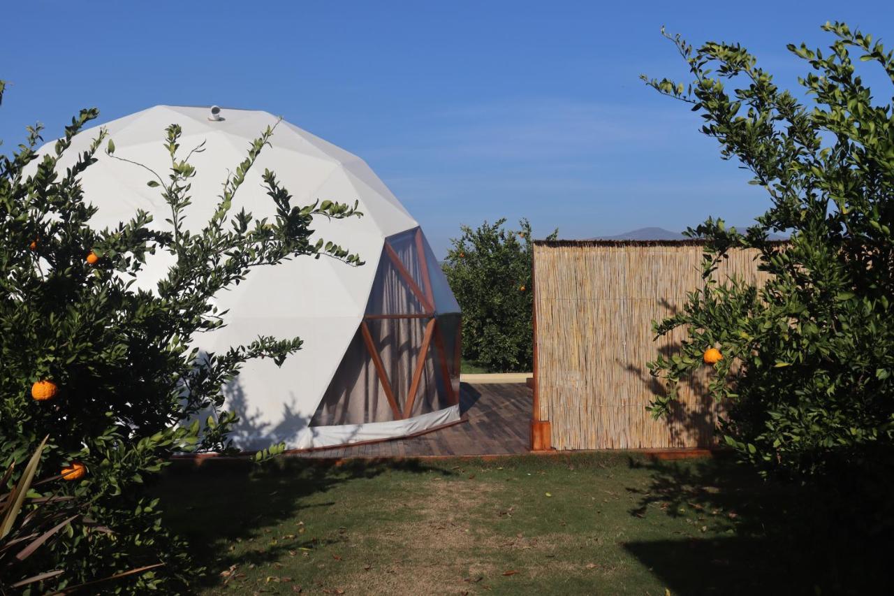Mandalin Glamping Otel Selçuk Dış mekan fotoğraf