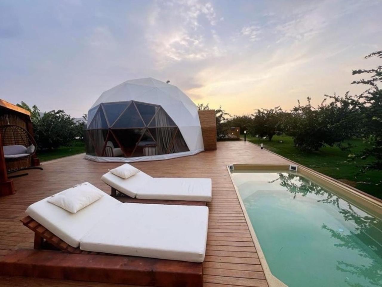 Mandalin Glamping Otel Selçuk Dış mekan fotoğraf