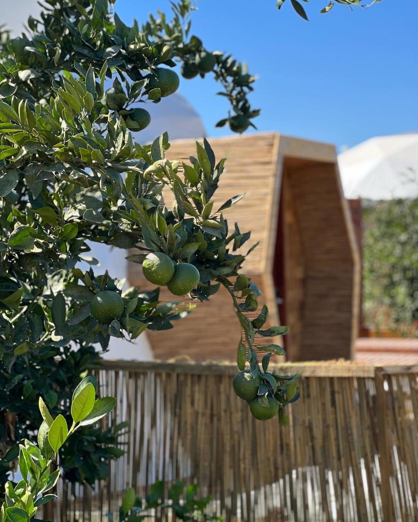 Mandalin Glamping Otel Selçuk Dış mekan fotoğraf