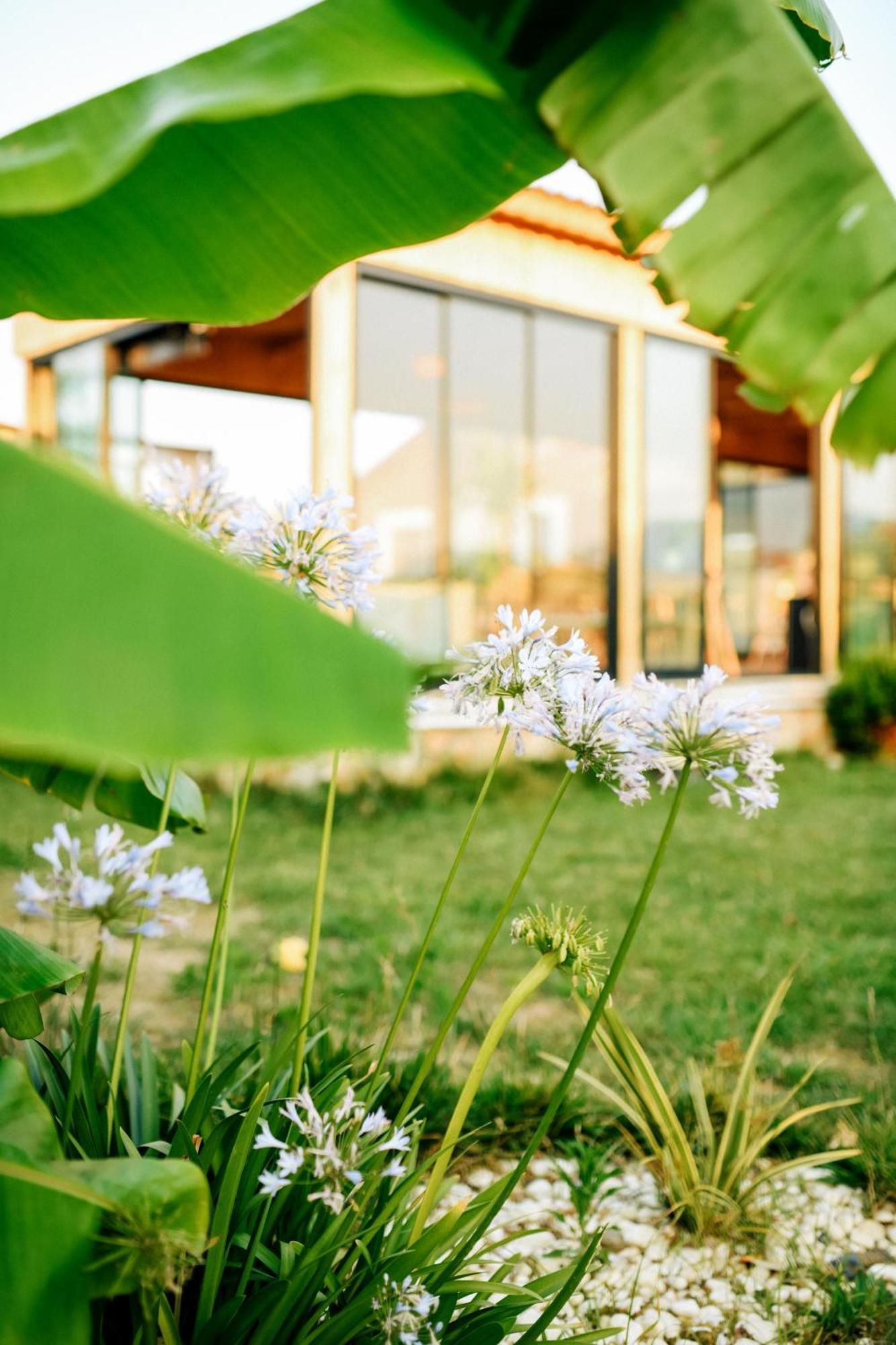 Mandalin Glamping Otel Selçuk Dış mekan fotoğraf